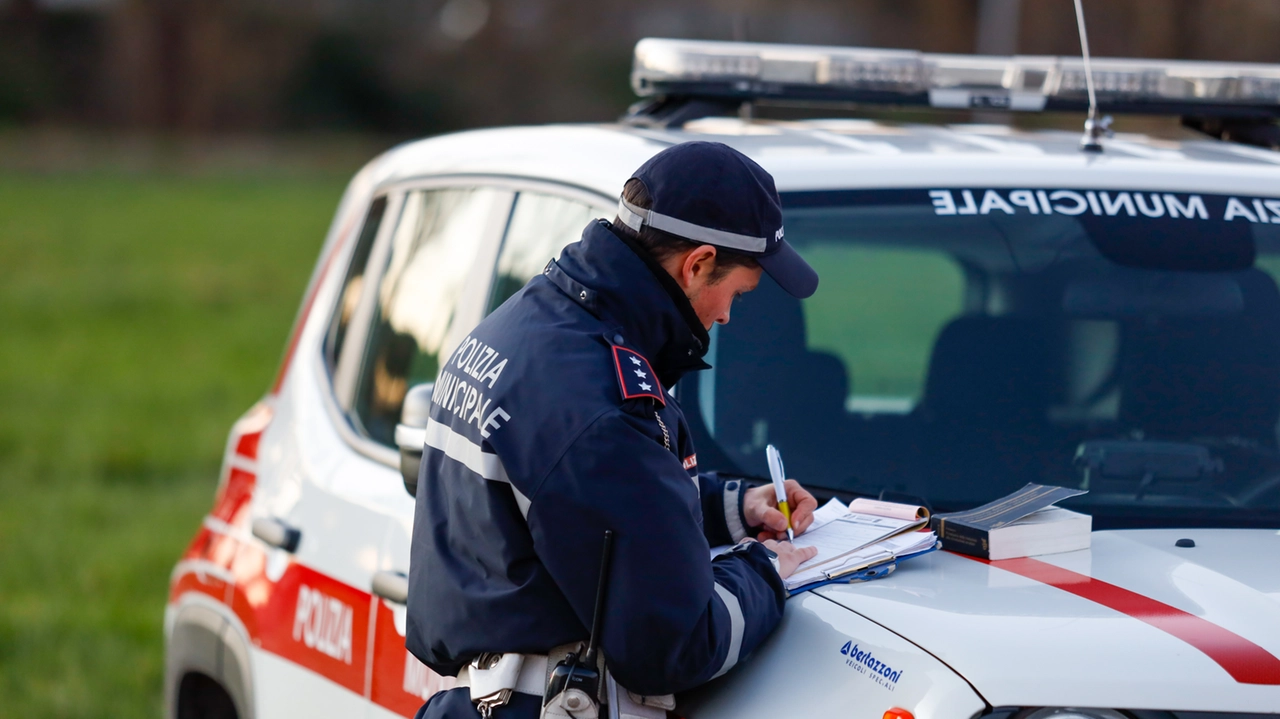 E' intervenuta la polizia municipale (Germogli) E' intervenuta la polizia municipale (Germogli)
