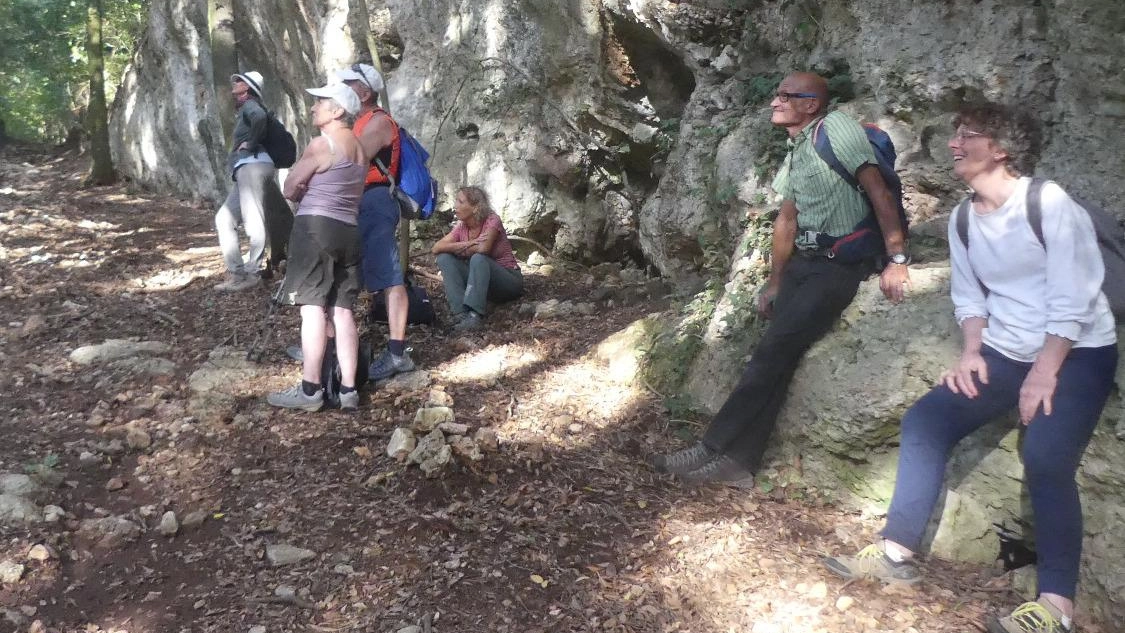 La VII edizione di 'Stradelli' nel Parco archeominerario di San Silvestro è stata rinviata a causa del maltempo. L'evento di trekking artistico si terrà domenica 15 settembre, offrendo un'esperienza immersiva tra arte e natura. Il percorso di 10 km si trasforma in un palcoscenico per spettacoli artistici, adatto anche alle famiglie. Per info e prenotazioni contattare i numeri indicati. La VII edizione di 'Stradelli' nel Parco archeominerario di San Silvestro è stata rinviata a causa del maltempo. L'evento di trekking artistico si terrà domenica 15 settembre, offrendo un'esperienza immersiva tra arte e natura. Il percorso di 10 km si trasforma in un palcoscenico per spettacoli artistici, adatto anche alle famiglie. Per info e prenotazioni contattare i numeri indicati.