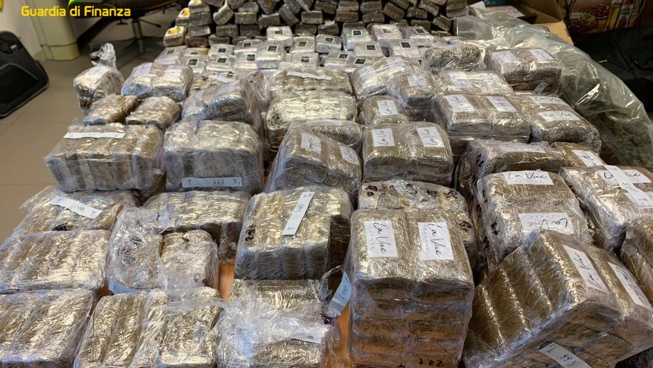 La droga sequestrata