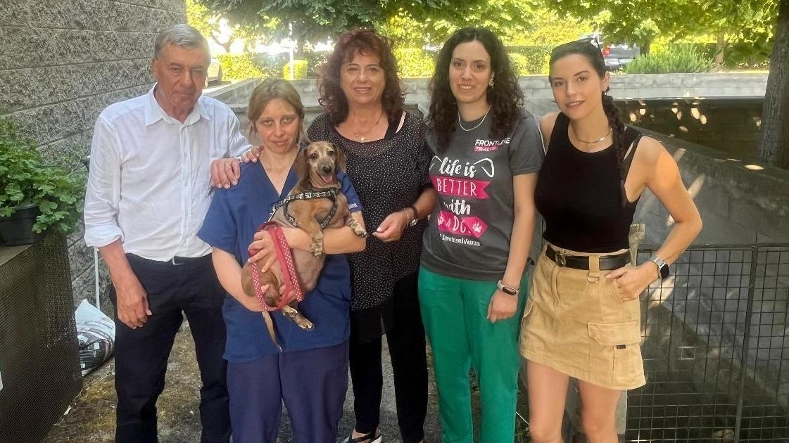 La bassottina di 12 anni ridotta in fin di vita dal suo ex proprietario ora è circondata da amore. La bassottina di 12 anni ridotta in fin di vita dal suo ex proprietario ora è circondata da amore.