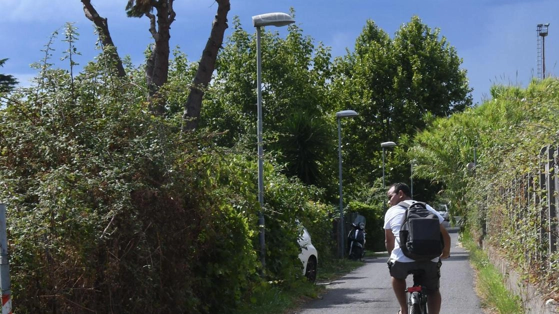 La via del Murlungo ad Avenza nella zona scelta dal Comune per gli alloggi popolari La via del Murlungo ad Avenza nella zona scelta dal Comune per gli alloggi popolari