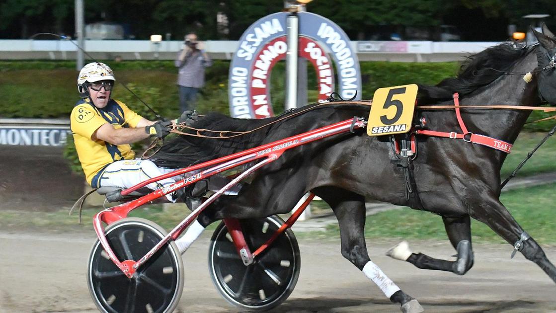 Luci all’ippodromo Sesana. Scocca l’ora del Gp Terme. Giotto Ek favorito in pista Luci all’ippodromo Sesana. Scocca l’ora del Gp Terme. Giotto Ek favorito in pista