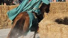 Ci siamo. Stasera, alle 21, in piazza Aranci, si terrà la XXXVI Giostra della Quintana Cybea. Una sorta di tuffo... Ci siamo. Stasera, alle 21, in piazza Aranci, si terrà la XXXVI Giostra della Quintana Cybea. Una sorta di tuffo...