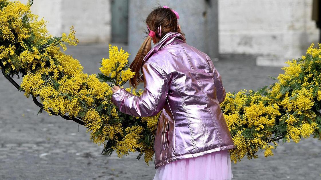 lasciateci vivere bigmama contro
