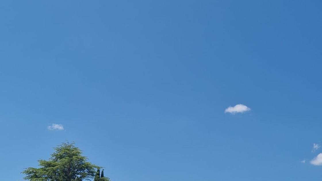 https://www.lanazione.it/image-service/view/acePublic/alias/contentid/YjgxMTYyMDktMTI4ZS00/0/verde.jpeg?f=16:9&w=1200&h=630