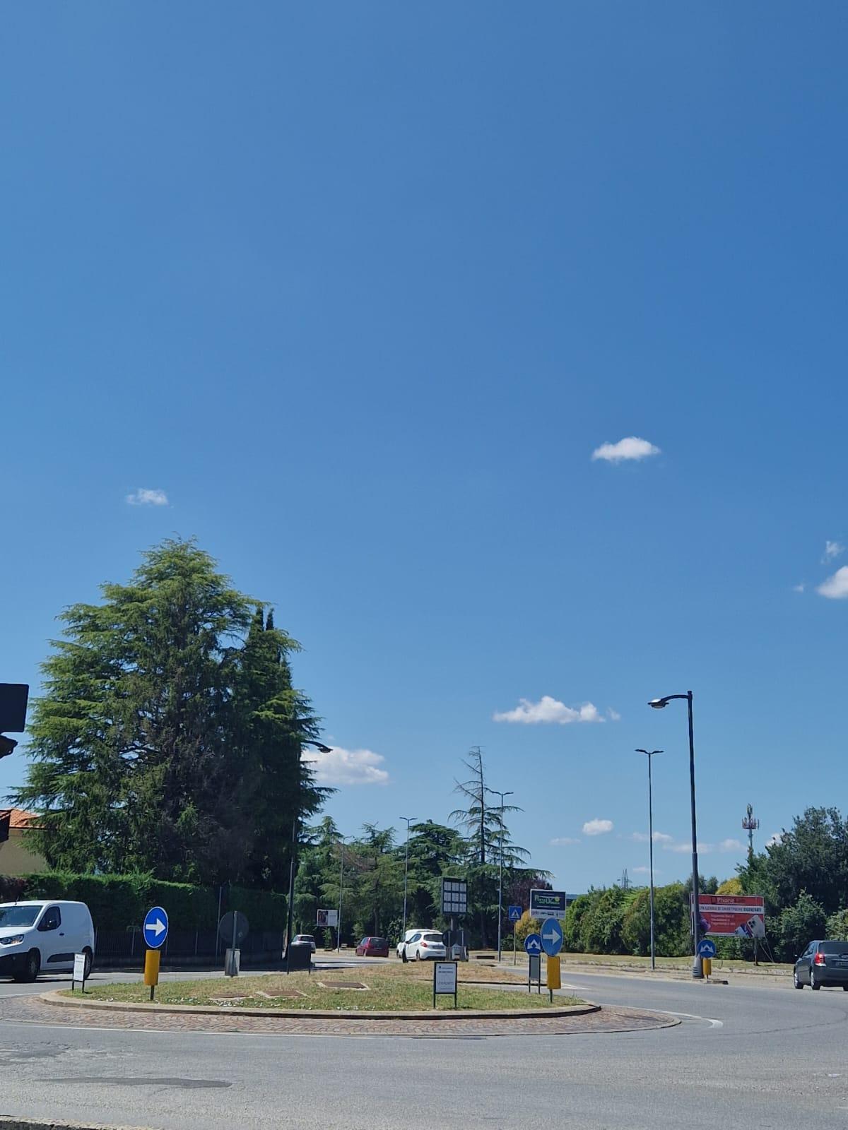 Cura del verde pubblico: quasi tutte le aree affidate, città più bella e partecipata