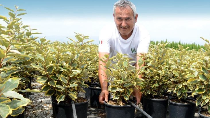 Un operatore del settore (foto di repertorio)