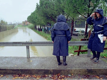 immagine articolo