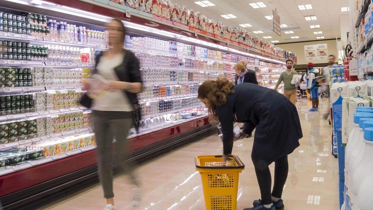La provincia si piazza al decimo posto della classifica dei rincari con un +2%. Il focus sulla spesa: le carni si sono apprezzate del 4,7%, i vegetali del 4%. La provincia si piazza al decimo posto della classifica dei rincari con un +2%. Il focus sulla spesa: le carni si sono apprezzate del 4,7%, i vegetali del 4%.