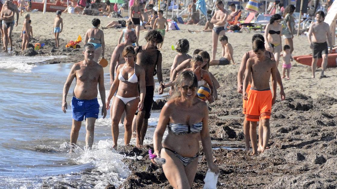 Caro mare, quanto costi? Ombrellone e due lettini fino a 60 euro al giorno Caro mare, quanto costi? Ombrellone e due lettini fino a 60 euro al giorno