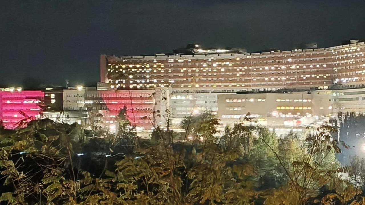 Si svolgerà stamani a Lucca. Intanto il policlinico svolge approfondimenti. La pila a bottone ingoiata era stata tolta dai medici dopo il secondo accesso . Si svolgerà stamani a Lucca. Intanto il policlinico svolge approfondimenti. La pila a bottone ingoiata era stata tolta dai medici dopo il secondo accesso .