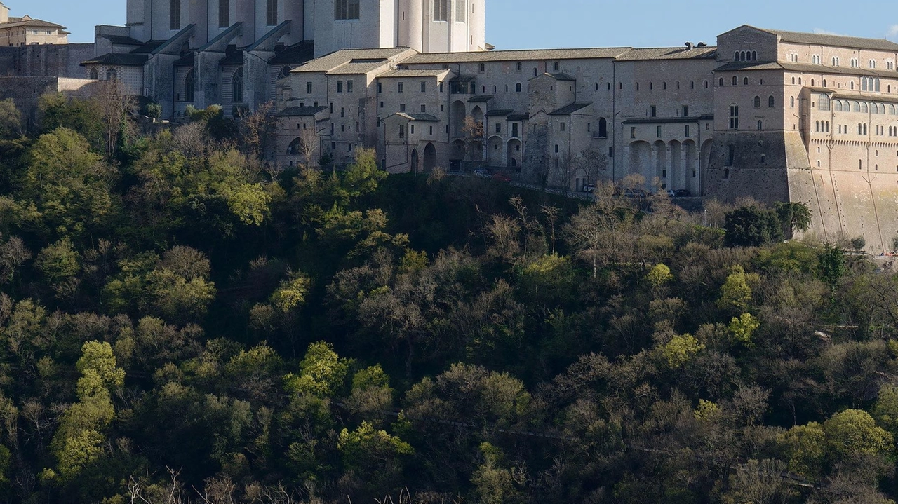 Il "Cantico delle Creature" di San Francesco prenderà vita ad Assisi con illuminazioni scenografiche per diffondere un messaggio di pace e speranza durante il Natale 2024. Il programma include luminarie a basso impatto energetico, presepi artistici e presepi viventi nelle frazioni, promuovendo la sostenibilità ambientale e la tradizione natalizia. Il "Cantico delle Creature" di San Francesco prenderà vita ad Assisi con illuminazioni scenografiche per diffondere un messaggio di pace e speranza durante il Natale 2024. Il programma include luminarie a basso impatto energetico, presepi artistici e presepi viventi nelle frazioni, promuovendo la sostenibilità ambientale e la tradizione natalizia.