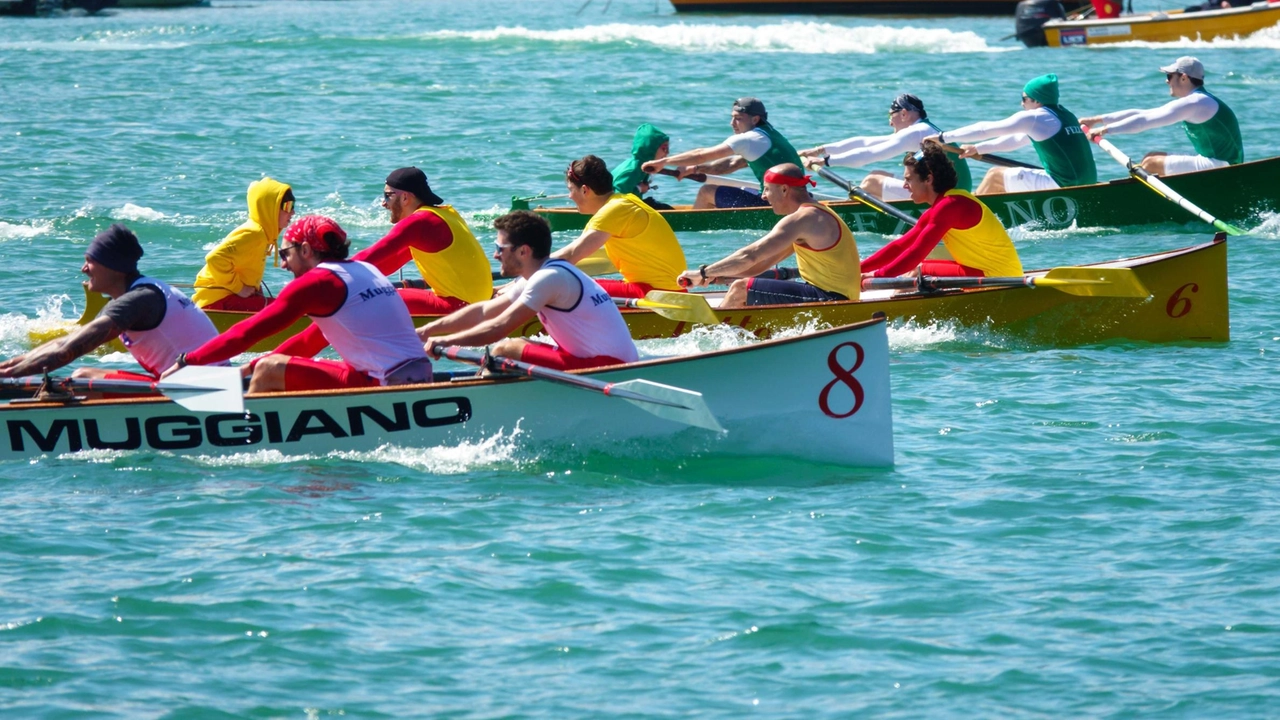 Un’immagine della gara senior dell’ultimo trofeo di San Giuseppe, vinta dalla borgata del. Muggiano. Domani la prima prepalio della stagione che porterà al Palio del centenario Un’immagine della gara senior dell’ultimo trofeo di San Giuseppe, vinta dalla borgata del. Muggiano. Domani la prima prepalio della stagione che porterà al Palio del centenario