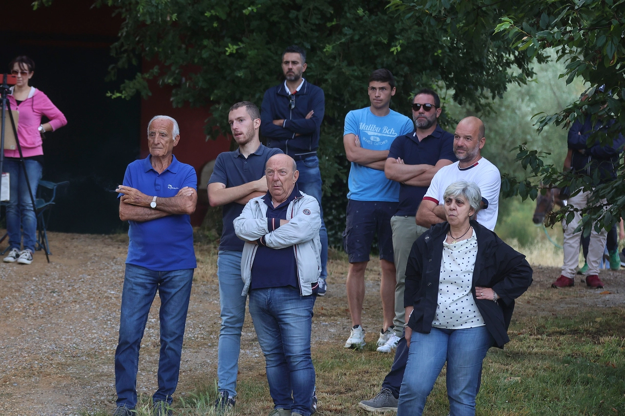 immagine di sfondo 3