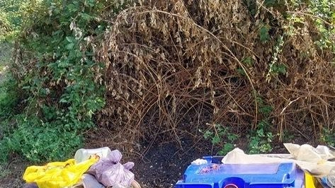 I cassonetti di Bergiola dove i rifiuiti non vengono ritirati da molti giorni I cassonetti di Bergiola dove i rifiuiti non vengono ritirati da molti giorni