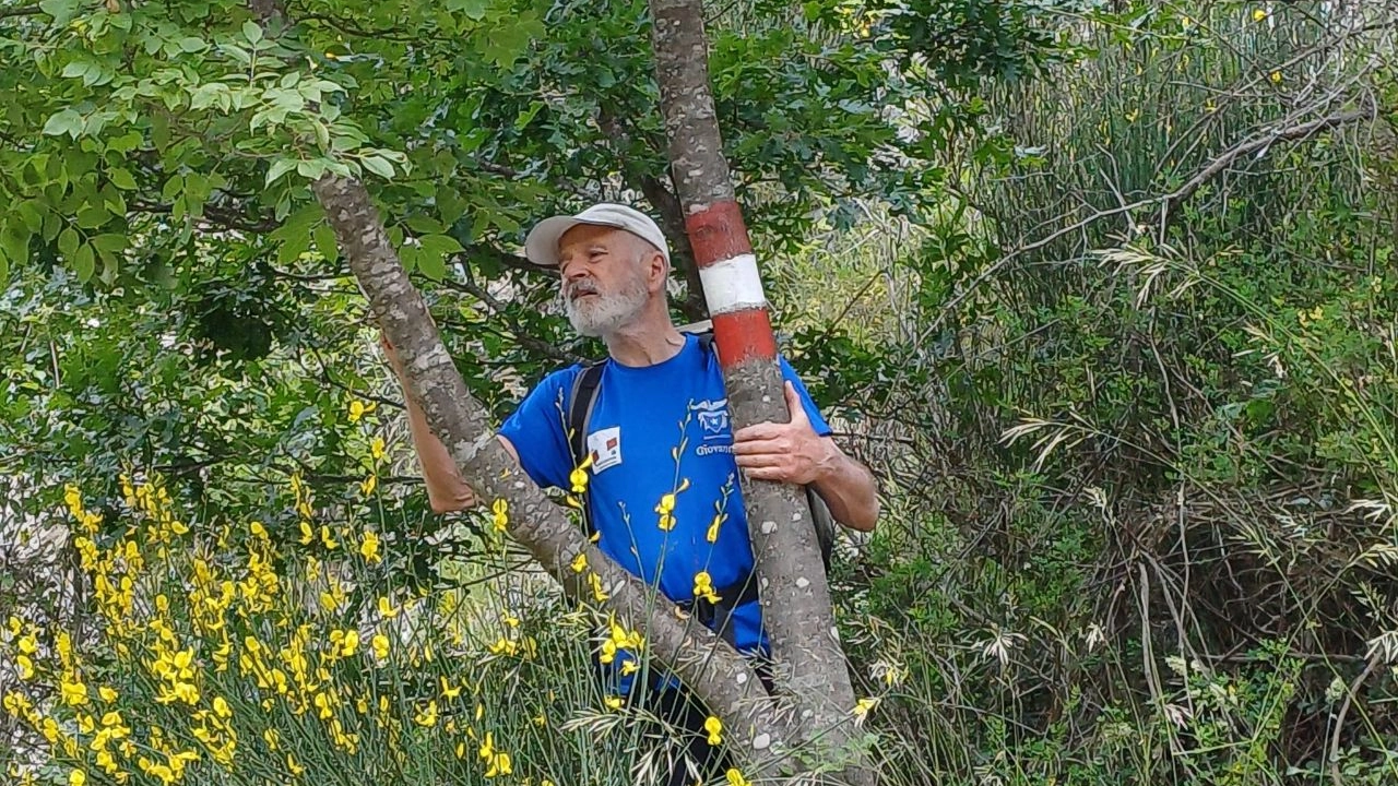 cai cai