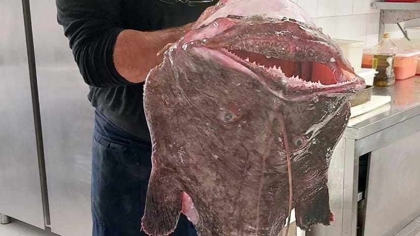 Antonio Pistolozzi, titolare del Veliero racconta la sua storia: "Quel pesce è la mia vita, non solo il mio lavoro" Antonio Pistolozzi, titolare del Veliero racconta la sua storia: "Quel pesce è la mia vita, non solo il mio lavoro"