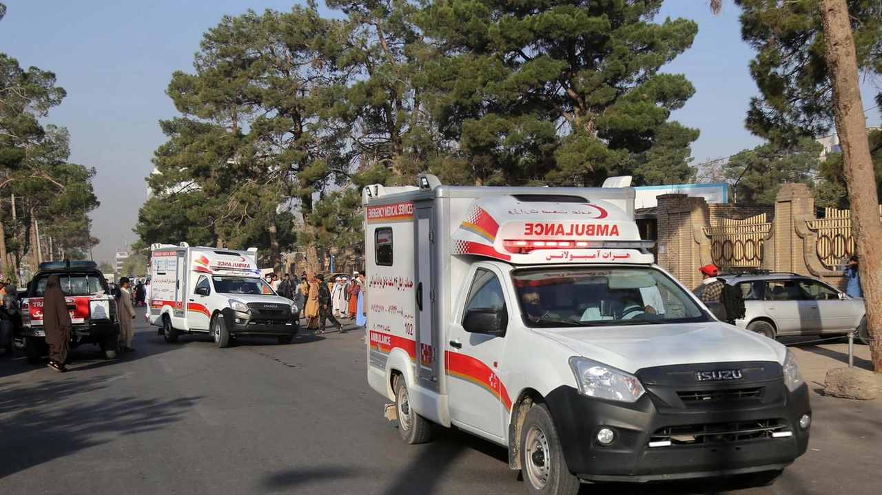 Nella provincia occidentale di Herat