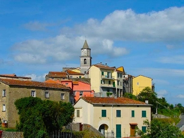 immagine articolo