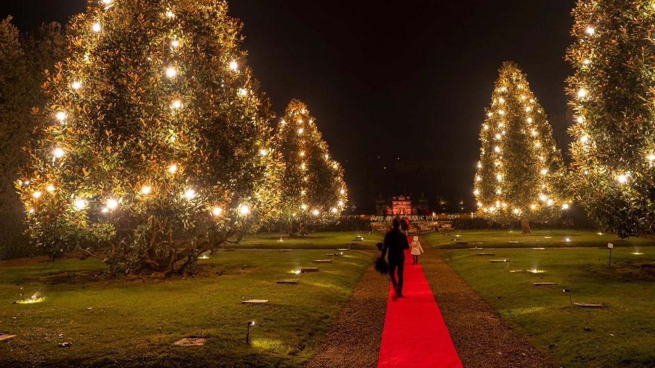 Il parco di Villa Reale a Marlia si trasforma in un regno incantato con illuminazioni natalizie, presepi artigianali e giochi in legno per tutte le età. Babbo Natale e laboratori creativi completano l'atmosfera festosa. Il parco di Villa Reale a Marlia si trasforma in un regno incantato con illuminazioni natalizie, presepi artigianali e giochi in legno per tutte le età. Babbo Natale e laboratori creativi completano l'atmosfera festosa.