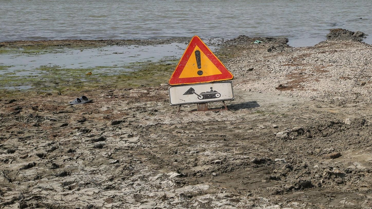 Gli interventi al lago Trasimeno effettuati questa estate continuano a far discutere Gli interventi al lago Trasimeno effettuati questa estate continuano a far discutere