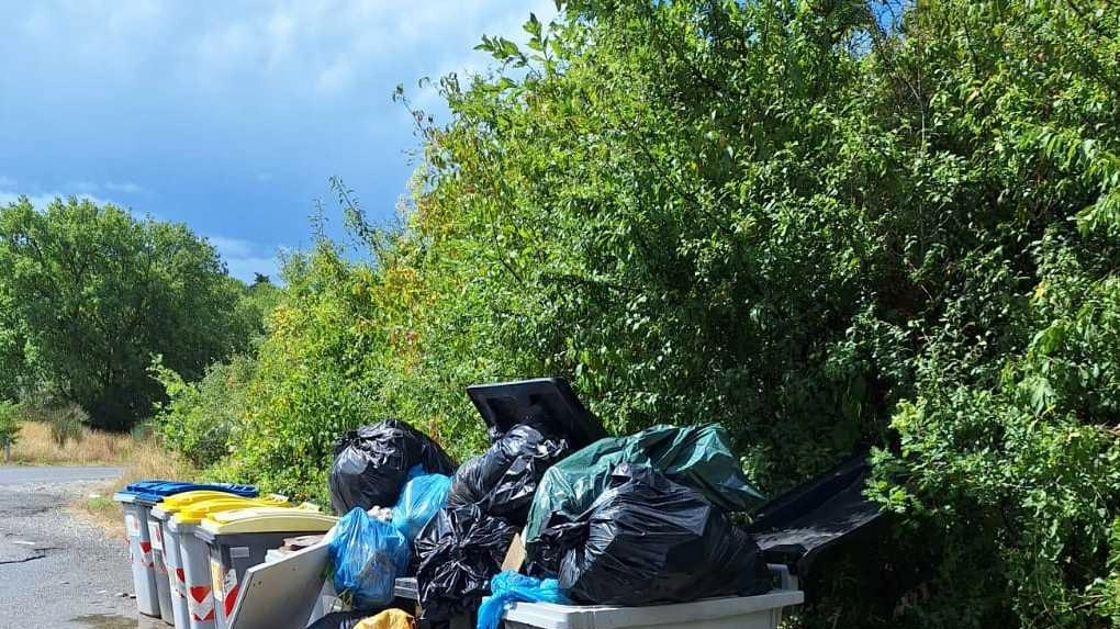 Lamentele da parte dei cittadini per la spazzatura lasciata in strada Lamentele da parte dei cittadini per la spazzatura lasciata in strada