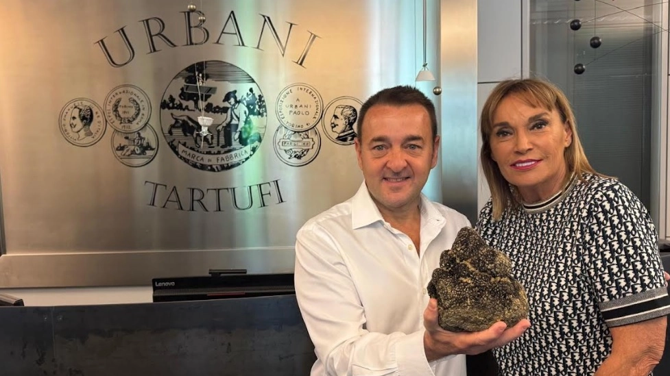 Maxi tartufo trovato in Umbria: pesa un chilo e 400 grammi. Volerà a New York