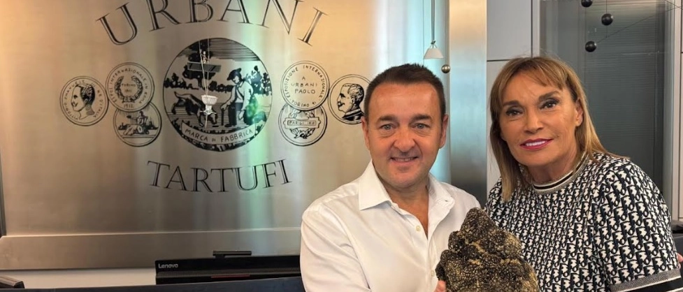 Maxi tartufo trovato in Umbria: pesa un chilo e 400 grammi. Volerà a New York