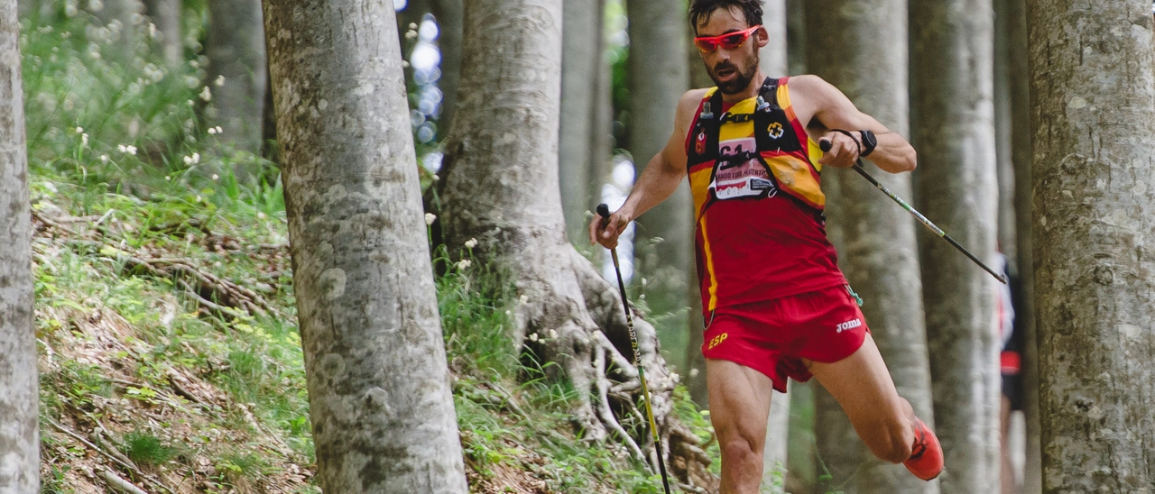 Il 1 giugno, il decennale del Trail Sacred Forests
