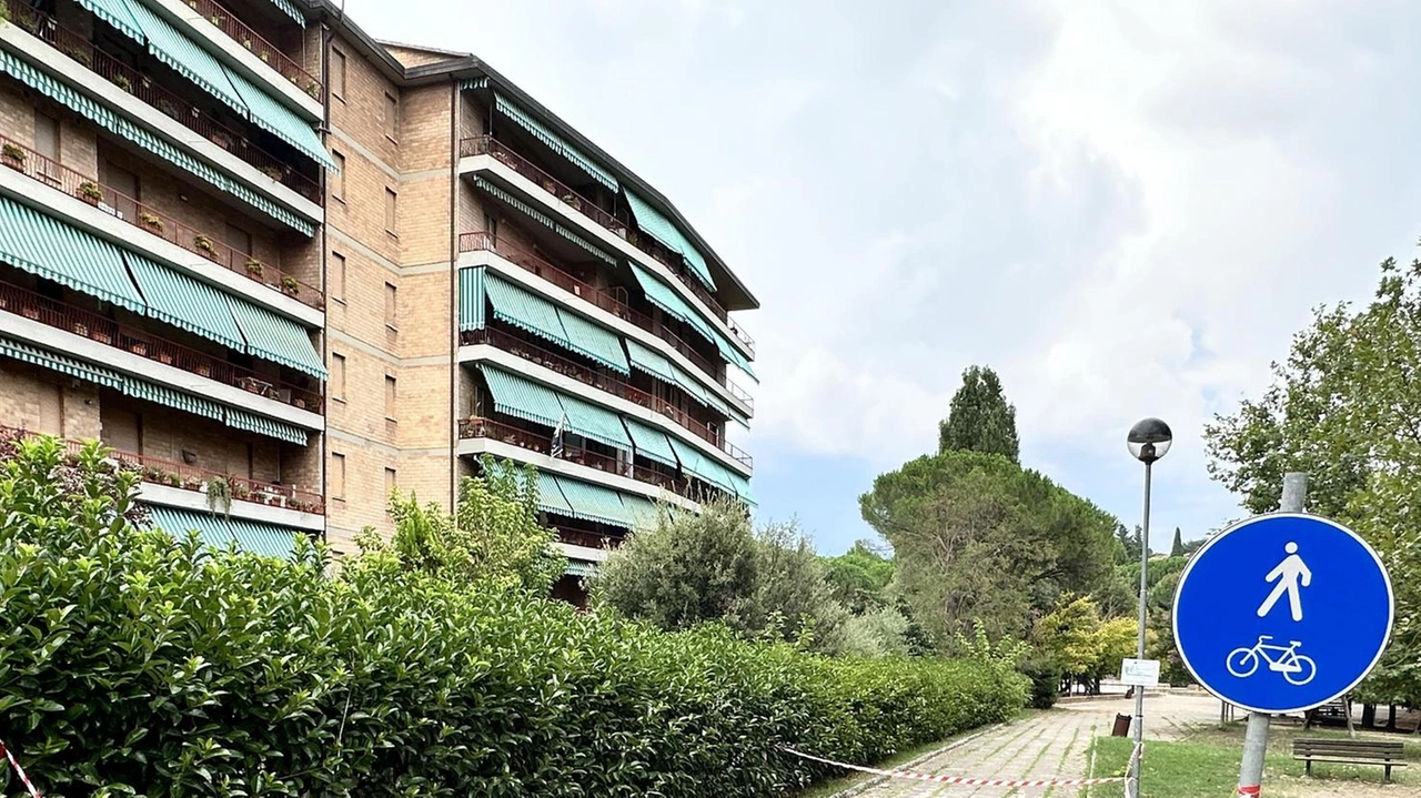 Le squadre comunali di Siena intervengono al parco Ochino per migliorare la pavimentazione e garantire un accesso sicuro. L'obiettivo è rendere gli spazi verdi più fruibili e sicuri per tutti i cittadini. Le squadre comunali di Siena intervengono al parco Ochino per migliorare la pavimentazione e garantire un accesso sicuro. L'obiettivo è rendere gli spazi verdi più fruibili e sicuri per tutti i cittadini.