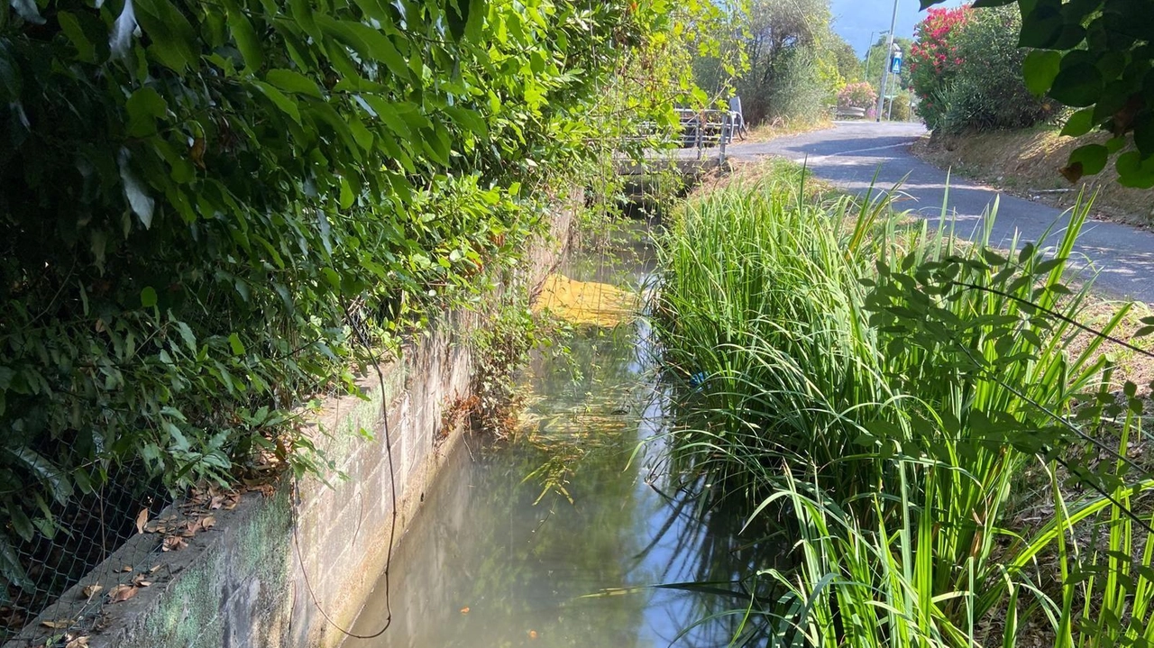 Intervento urgente ieri mattina da parte del Consorzio di Bonifica Toscana Nord, in sinergia con il comune di Forte dei Marmi