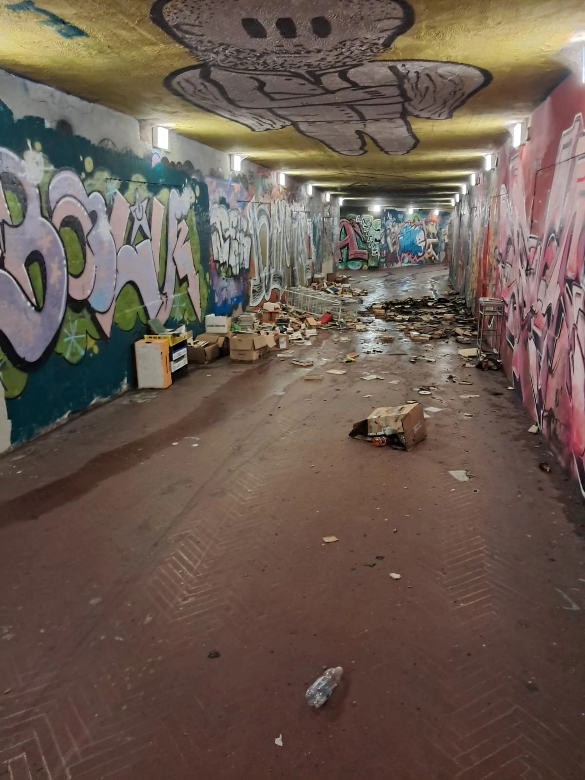 immagine di sfondo 2