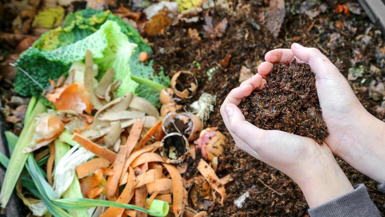 A Camaiore sono previsti nuovi sconti sulla Tari per chi conferisce l’organico A Camaiore sono previsti nuovi sconti sulla Tari per chi conferisce l’organico