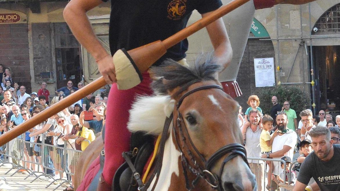 Il cavaliere di Porta del Foro Matteo Vitellozzi: è il debuttante di questa Giostra Il cavaliere di Porta del Foro Matteo Vitellozzi: è il debuttante di questa Giostra