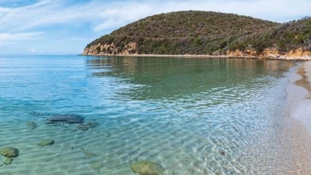 Uno scorcio della spiaggia di Cala Violina nel comune di Scarlino Uno scorcio della spiaggia di Cala Violina nel comune di Scarlino