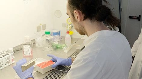 È il risultato delle ricerche fatte dall’équipe del dipartimento di Chimica Ugo Schiff, per frenarne l’invecchiamento È il risultato delle ricerche fatte dall’équipe del dipartimento di Chimica Ugo Schiff, per frenarne l’invecchiamento