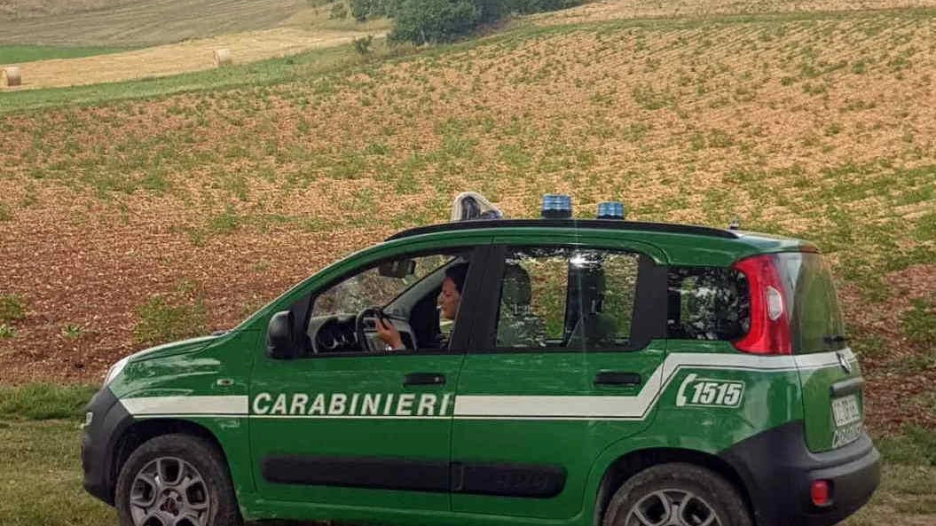 Quattro denunciati a Terricciola per abbandono di lastre di eternit su suolo pubblico. Carabinieri individuano e denunciano i responsabili. Quattro denunciati a Terricciola per abbandono di lastre di eternit su suolo pubblico. Carabinieri individuano e denunciano i responsabili.