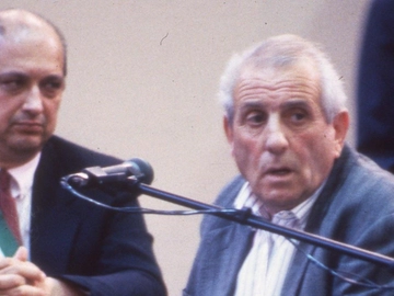 immagine articolo
