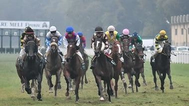 Stanno per ripartire all’ippodromo Cesare Meli le riunioni di corse al galoppo
