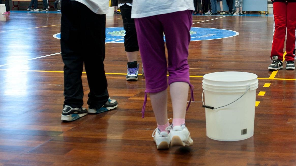 L’amministrazione comunale annuncia i lavori nella fase conclusiva della nuova palestra da quasi un milione e mezzo di euro: intanto domani in città tornano la Festa dello sport e i Giochi di maggio con tante attrazioni foto di repertorio L’amministrazione comunale annuncia i lavori nella fase conclusiva della nuova palestra da quasi un milione e mezzo di euro: intanto domani in città tornano la Festa dello sport e i Giochi di maggio con tante attrazioni foto di repertorio