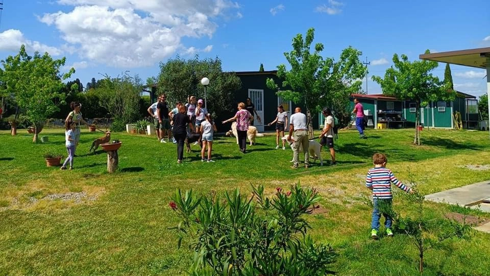 Il parco canile La Valle Incantata di Lajatico. Quella di domani sarà una giornata di festa che inizia alle 15.30 (foto d’archivio) Il parco canile La Valle Incantata di Lajatico. Quella di domani sarà una giornata di festa che inizia alle 15.30 (foto d’archivio)