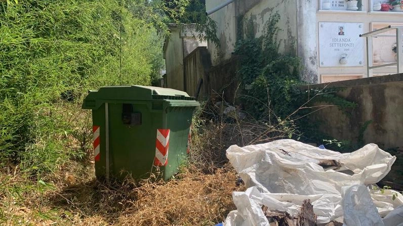 Le condizioni in cui versa il cimitero di Piano di Mommio tra immondizia, scalini rotti e un nido di vespe pericolose Le condizioni in cui versa il cimitero di Piano di Mommio tra immondizia, scalini rotti e un nido di vespe pericolose