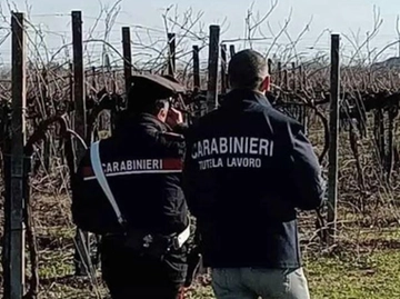 immagine articolo