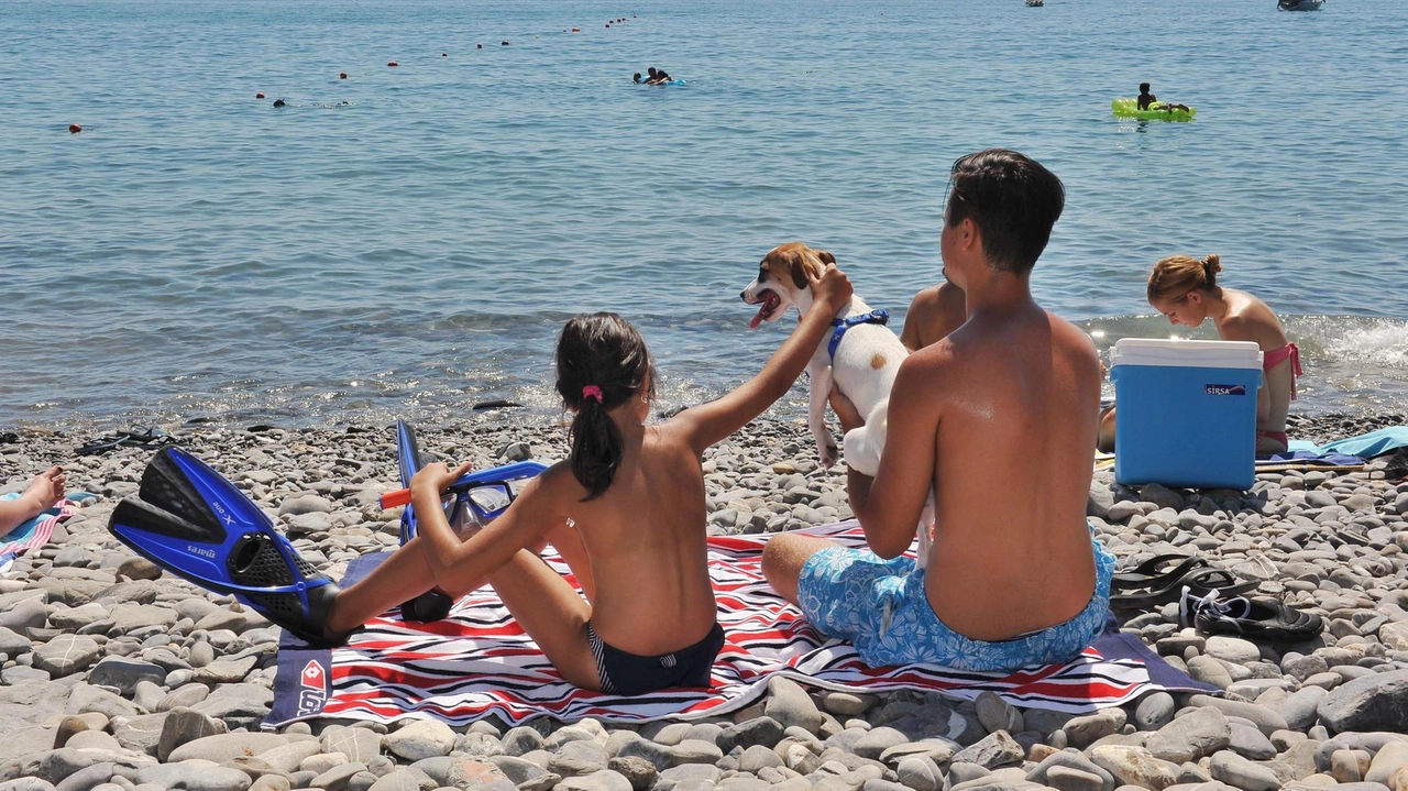 E’ tempo di vacanze per tutti, anche per i primi cittadini del Valdarno aretino che dopo un anno molto intenso...