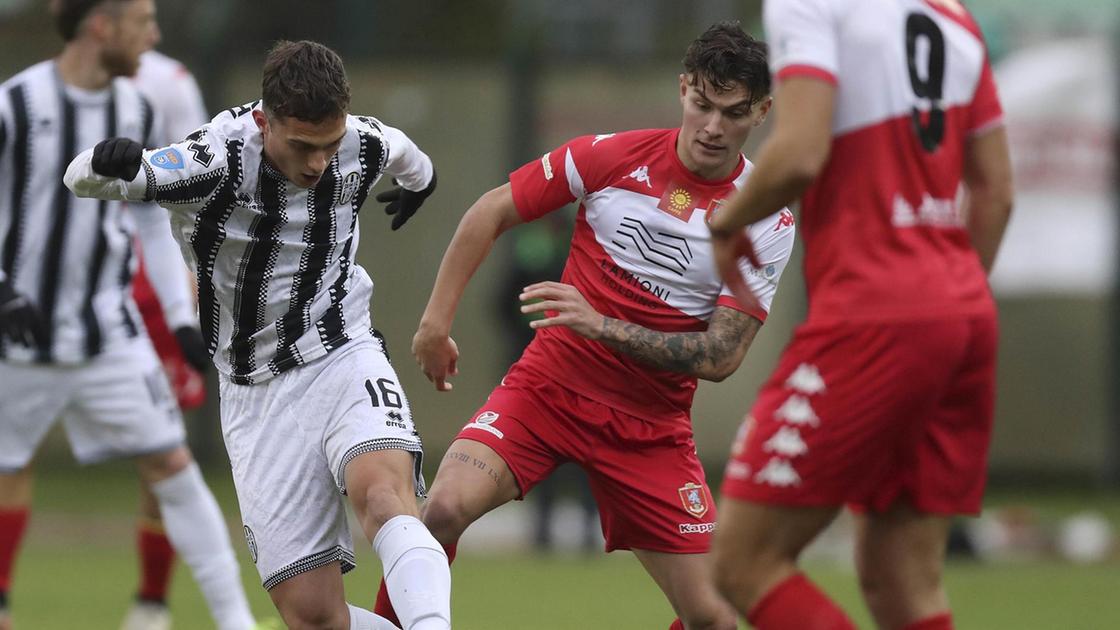 Derby Grosseto Siena: Ultima Sfida per i Playoff tra Squalifiche e Formazione d