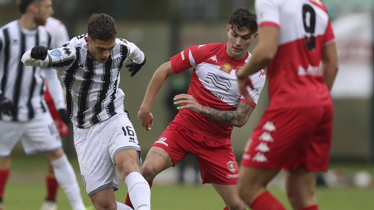 Derby Grosseto-Siena: Ultima Sfida per i Playoff tra Squalifiche e Formazione d'Emergenza
