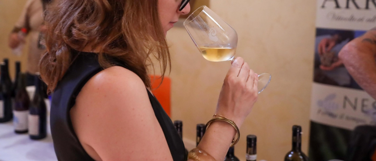 L’agenda dei vini, fra storia e tradizione