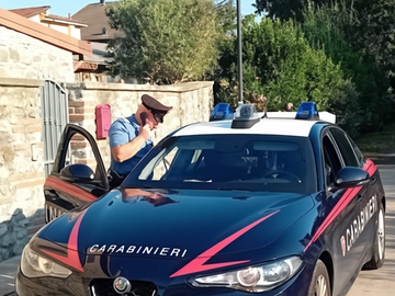 immagine articolo