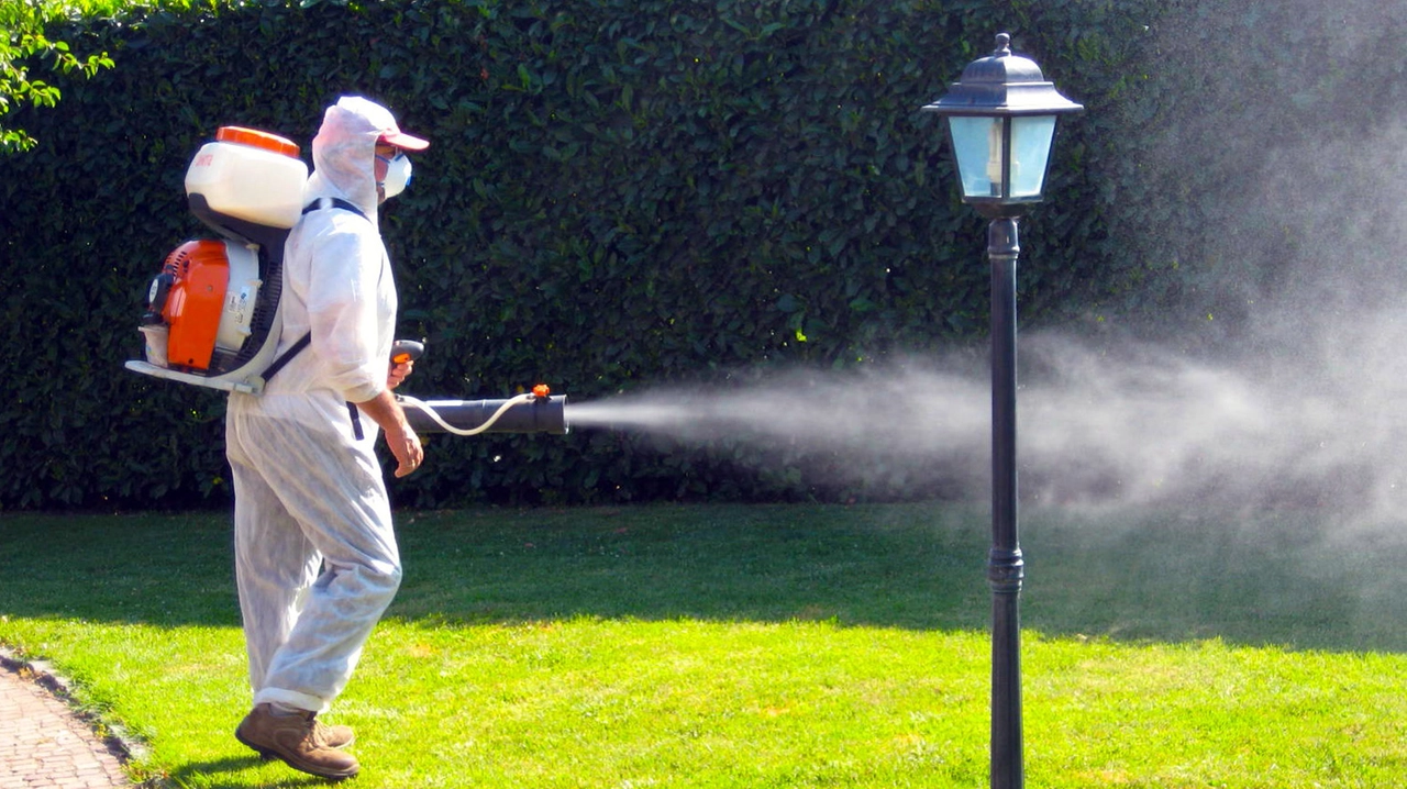 Disinfestazione dopo un caso di Dengue a Pistoia (Foto di repertorio) Disinfestazione dopo un caso di Dengue a Pistoia (Foto di repertorio)