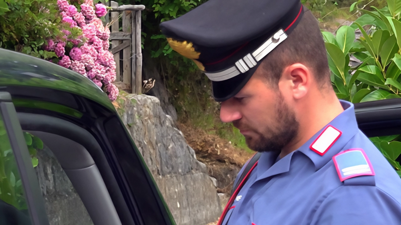 Raid notturno nell’azienda Giovannini Metalli al Corsalone Sul posto pattuglie dei carabinieri di Bibbiena, coordinati nell’operazione dal tenente Domenico Gaudio, che hanno subito avviato le indagini per capire come avessero agito i ladri Raid notturno nell’azienda Giovannini Metalli al Corsalone Sul posto pattuglie dei carabinieri di Bibbiena, coordinati nell’operazione dal tenente Domenico Gaudio, che hanno subito avviato le indagini per capire come avessero agito i ladri